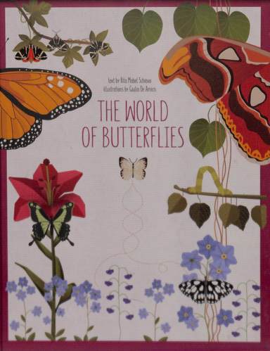 World Of Butterflies