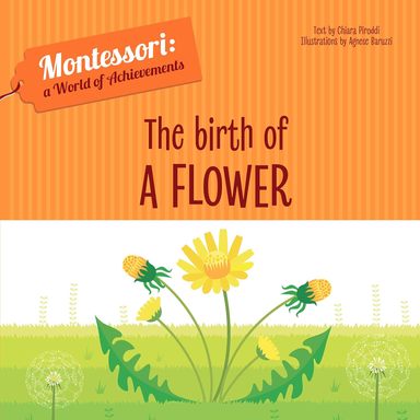 Birth Of A Flower : Montessori A World Of Achievements