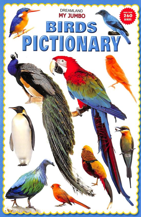My Jumbo  Birds  Pictionary