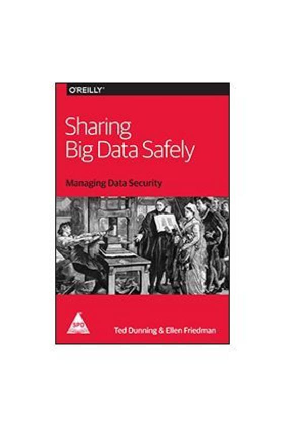 Sharing Big Data Safely Managing Data Security