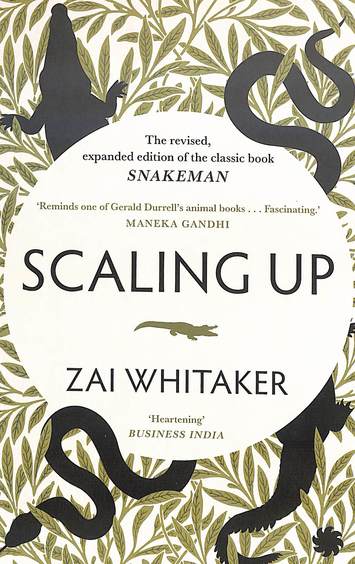 Scaling Up