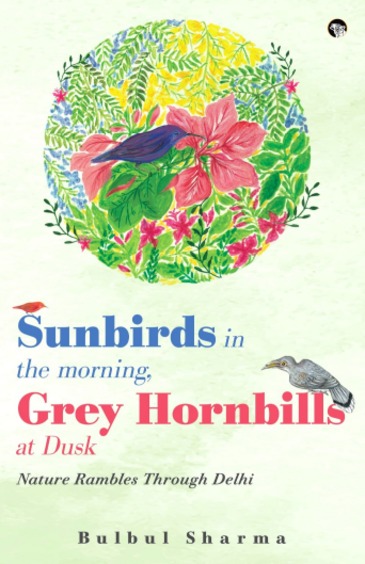 Sunbirds In The Morning Grey Hornbills At Dusk : Nature Rambles Through Delhi