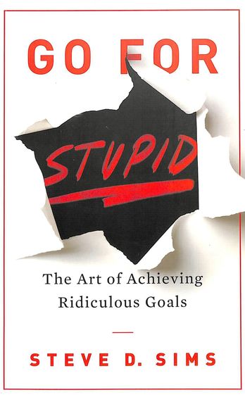 Go For Stupid : The Art Of Achieving Ridiculous Goals