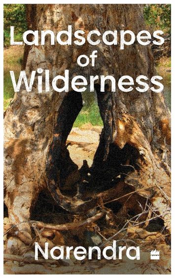 Landscapes Of Wilderness : Meditations On The World That We Live In
