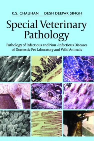 Special Veterinary Pathology: Pathology of Infectious and Non-Infectious Diseases of Domestic Pet, Laboratory and Wild Animals
