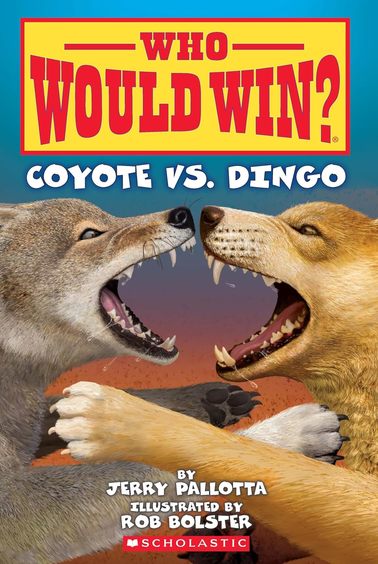 Who Would Win : Coyote Vs Dingo