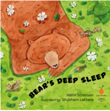 Bearâ€™S Deep Sleep