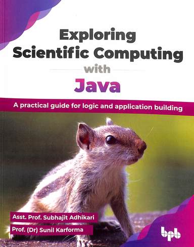 Buy Exploring Scientific Computing With Java : A Practical Guide For ...
