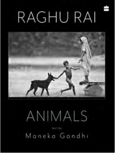 Animals