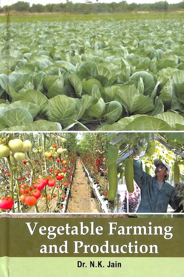 Vegetable Farming & Production