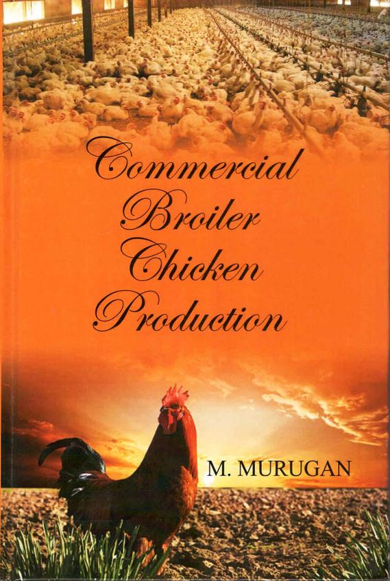 Commerical Broiler Chicken Production