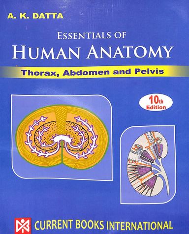 imaginefx essential anatomy volume 3