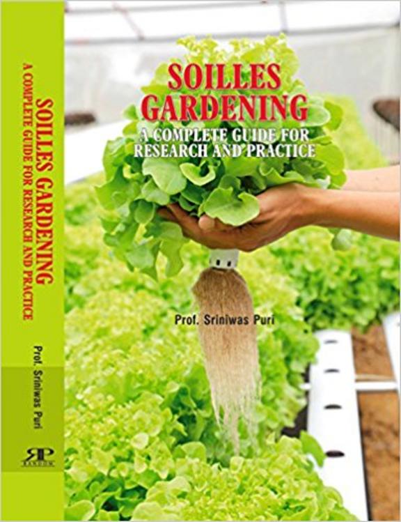  The Complete Guide To Soilless Gardening