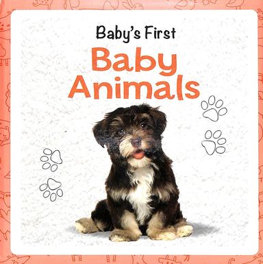Babys First : Baby Animals