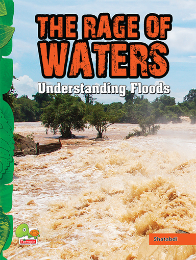 The Rage of Waters: Understanding Floods