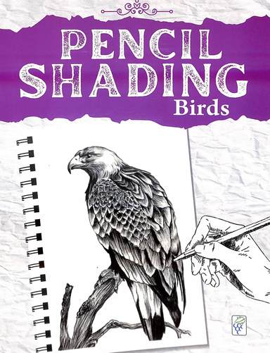 Pencil Shading : Birds