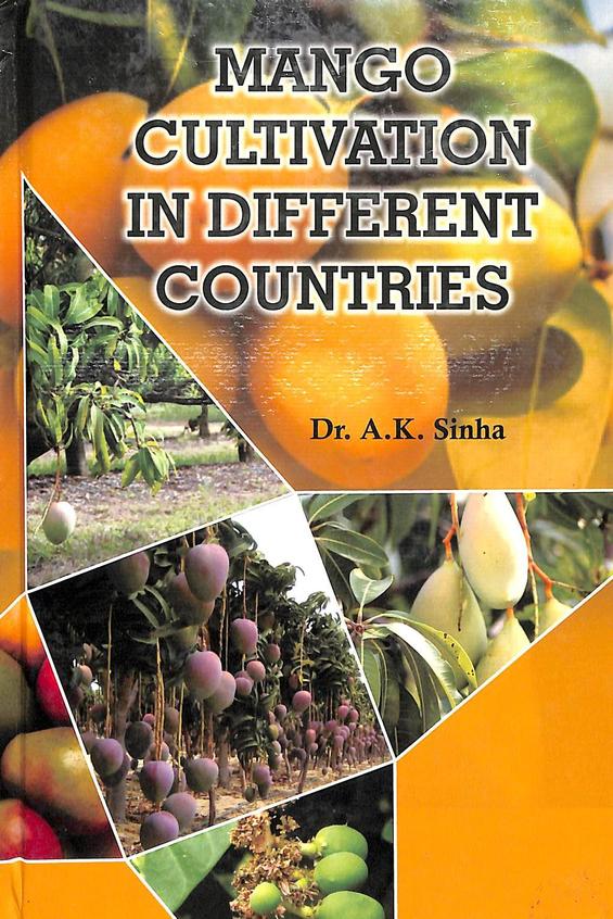 Mango Cultivation In Different Countries