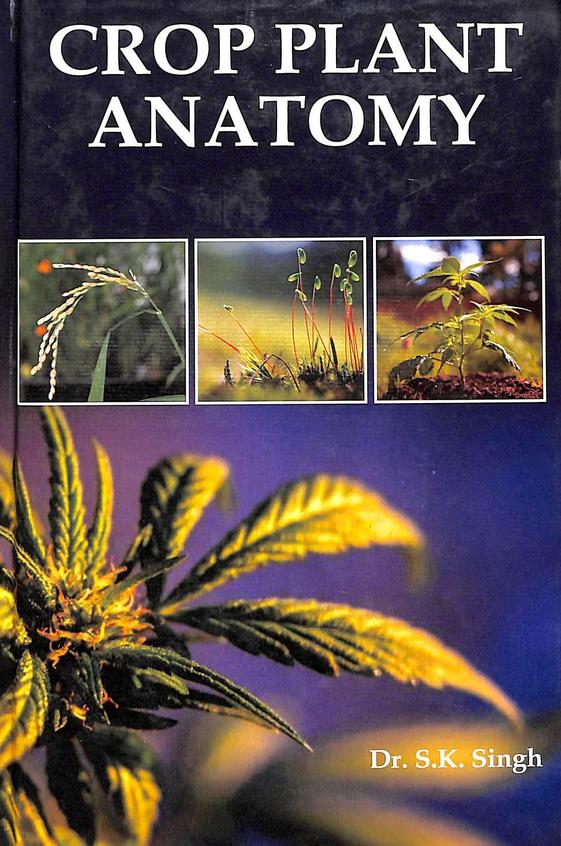 Crop Plant Anatomy