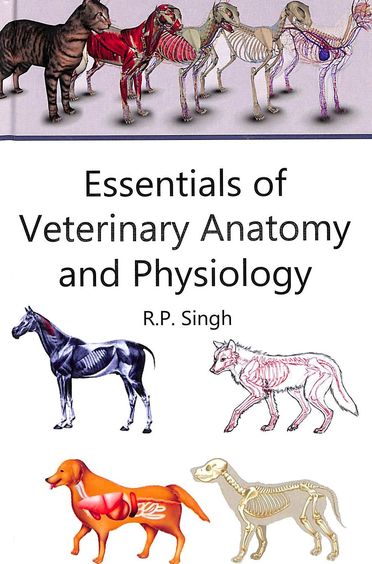 Essentials Of Veterinary Anatomy & Physiology
