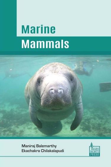 Marine Mammals