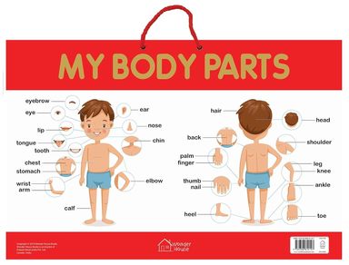 My body Parts Poster