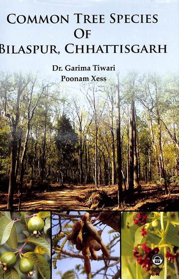 Common Tree Species Of Bilaspur Chhattisgarh