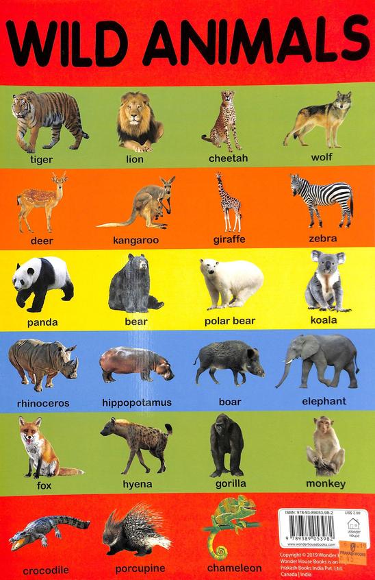 Buy Wild Animals book : Na , 9389053986, 9789389053982 - SapnaOnline ...