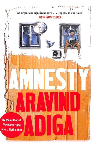 Amnesty