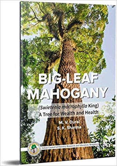 Big-Leaf Mahogany-A Tree for Wealth and Health