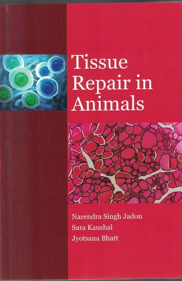 Tissue Repair in Animals