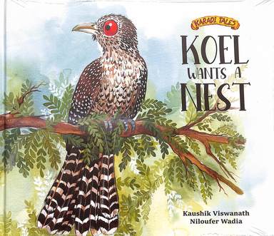 Koel Wants A Nest