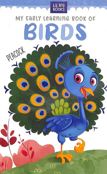 My Early Learning Book Of Birds : Lil Big Books